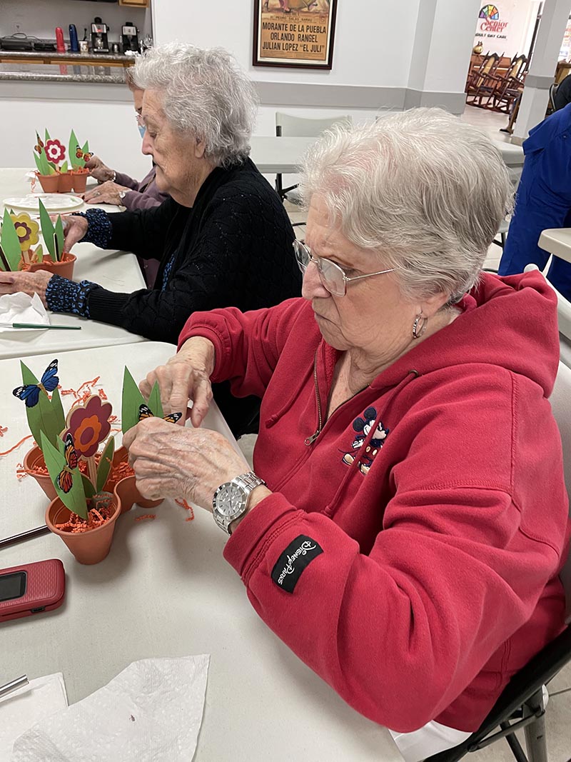 Actividades artísticas para adultos mayores South Miami